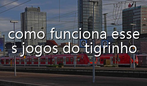 dinheiro aposta