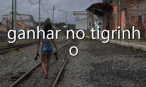 aposta ganha brasil