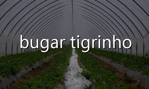 fortune tiger qual paga mais