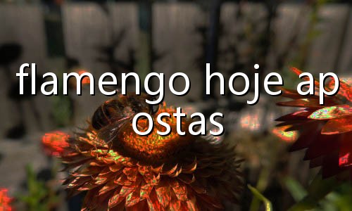 maleta poker preço