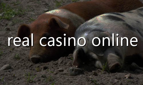 live casino