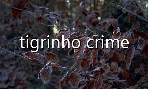 plataformas do tigrinho legalizadas