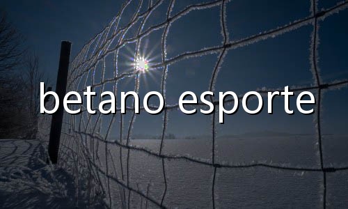 solução de cassino de criptomoedas