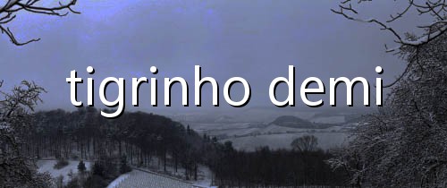 como fazer apostas e ganhar dinheiro