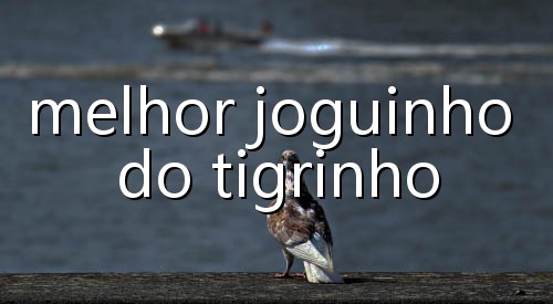quais sao as melhores casa de apostas