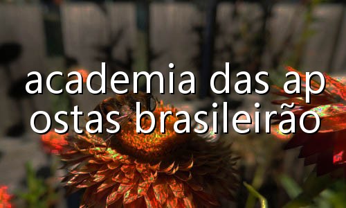 casas de apostas de jogos de futebol