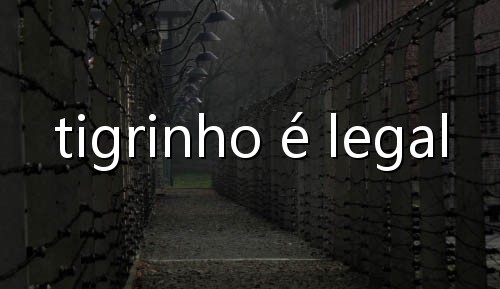melhores sites de apostas para ganhar dinheiro