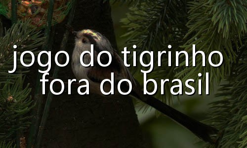 quero jogar caça níquel