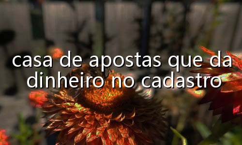 como jogar truco de 3 pessoas
