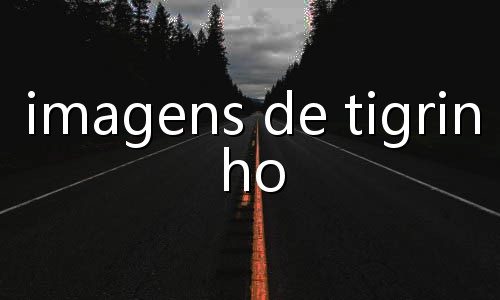 pessoas que ficaram ricas com cassino