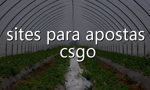 apostas de vôlei