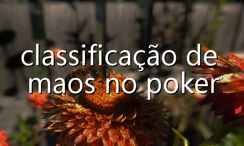 as 20 melhores casas de apostas com bonus