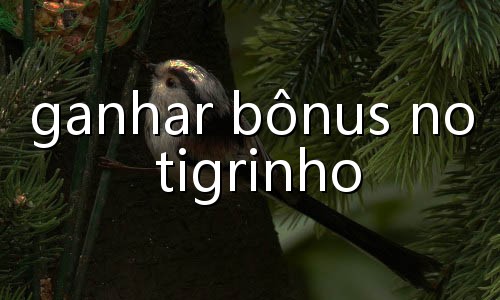 baixar jogos tigrinho