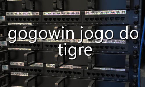 site de aposta novo