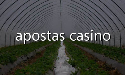 100 rodadas grátis sem depósito