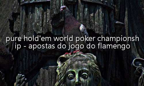 jogo para aprender a jogar poker