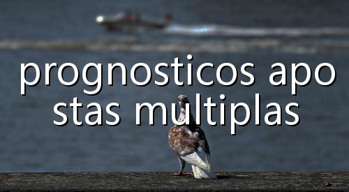 isa do tigrinho