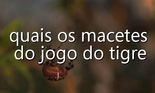 os melhores jogos de aposta
