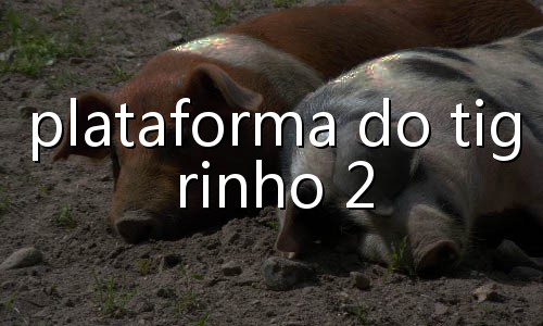 cartas do truco paulista
