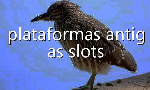 qual melhor site apostas esportivas