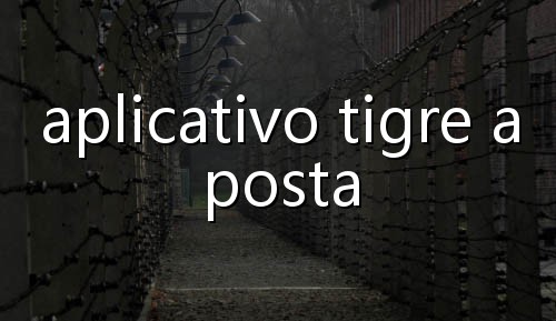 jogo do tigrinho com bônus para jogar