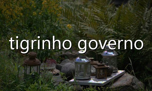 poker maior carta