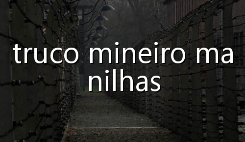 link do tigrinho que paga