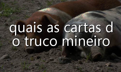 ordem das cartas no truco mineiro