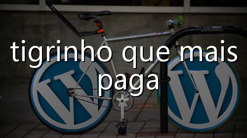caça niquel o que é