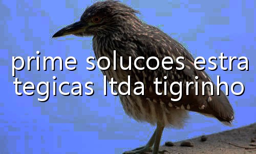 história do truco