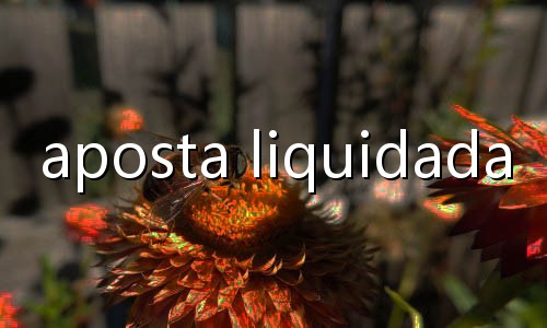 melhores bet para cassino