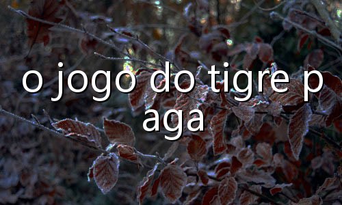 tabela de pagamento tigrinho