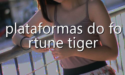 casino jogos gratis sem depósito