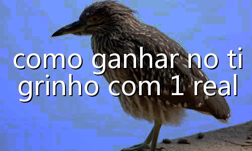 link plataforma nova tigrinho
