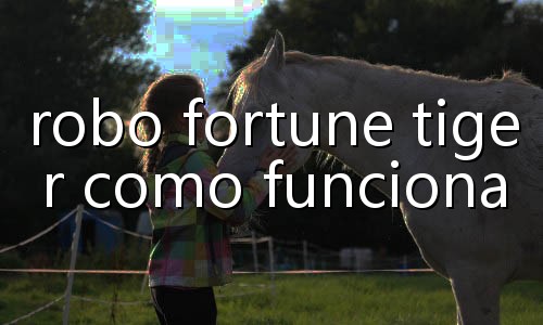 ordem jogo poker