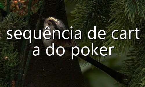 slot casino online