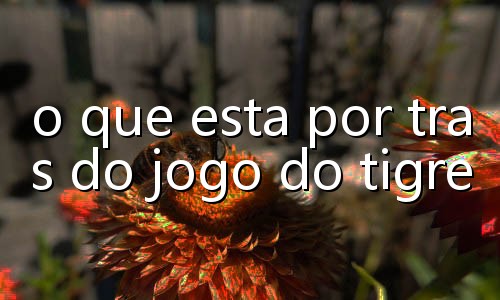 como jogar poker chips