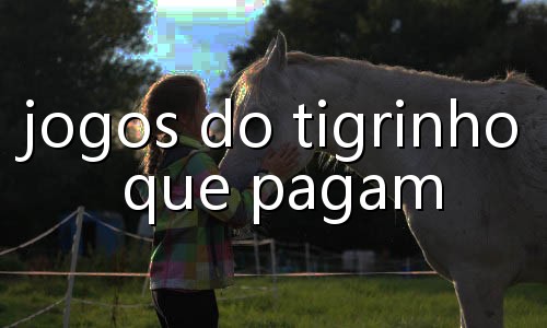 cassino aposta ganha