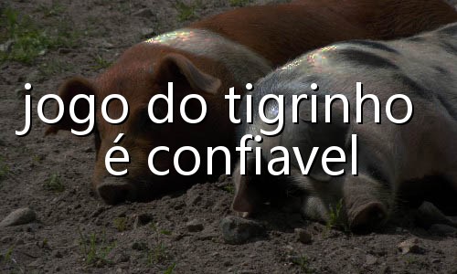 qual é o site oficial do fortune tiger