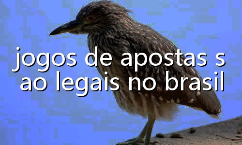 mls apostas