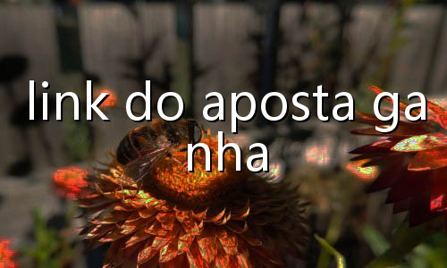 banca gratis tigrinho