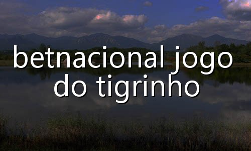 aposta brasileirao serie a