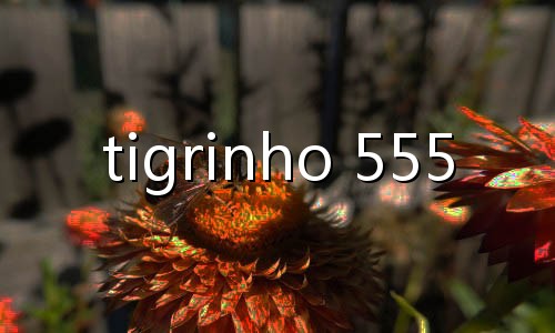 slot em portugues
