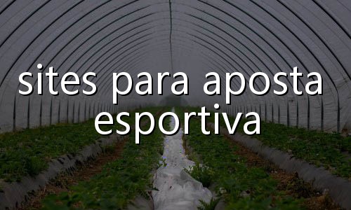 cassino aposta ganha