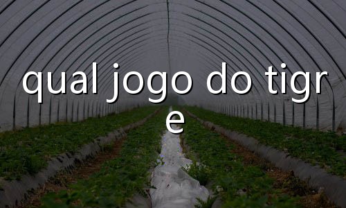 como funciona caça niquel