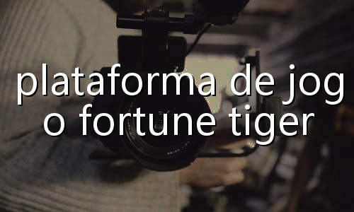 aposta é ganha