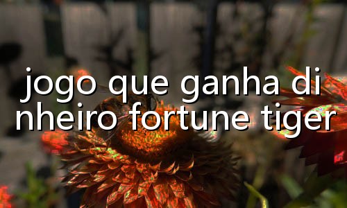 truco brasil para pc