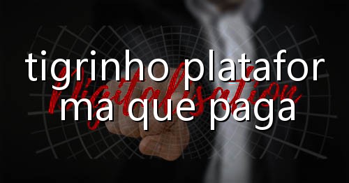 jogo do tigrinho sorte 25