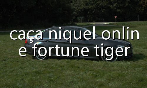 ganhei 50 mil no tigrinho