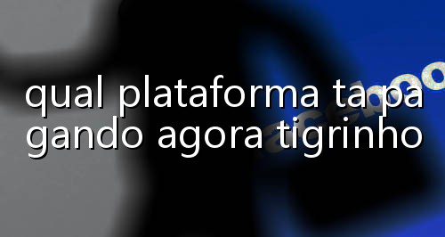 casa de apostas de futebol